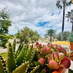 Cozy Comfi Little Paradise * Costa Del Silencio