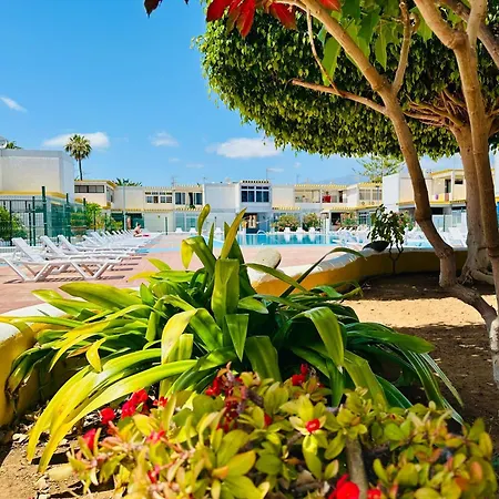 Cozy Comfi Little Paradise * Costa del Silencio